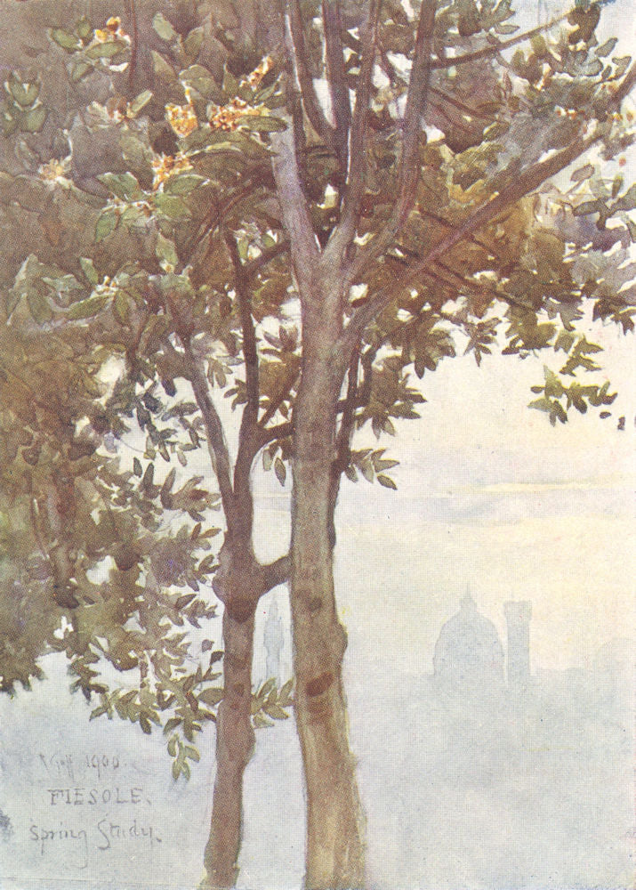 FLORENCE FIRENZE. A Misty effect of Towers. Italy 1905 old antique print